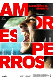 Amores Perros 25th Anniversary