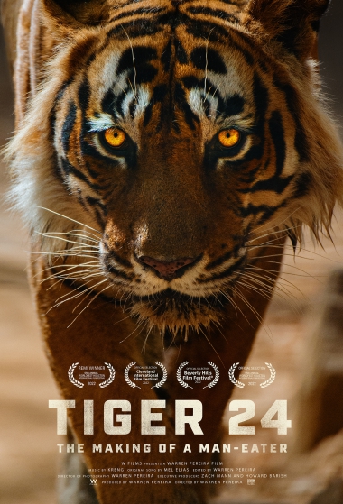 Tiger 24 Tiger 24